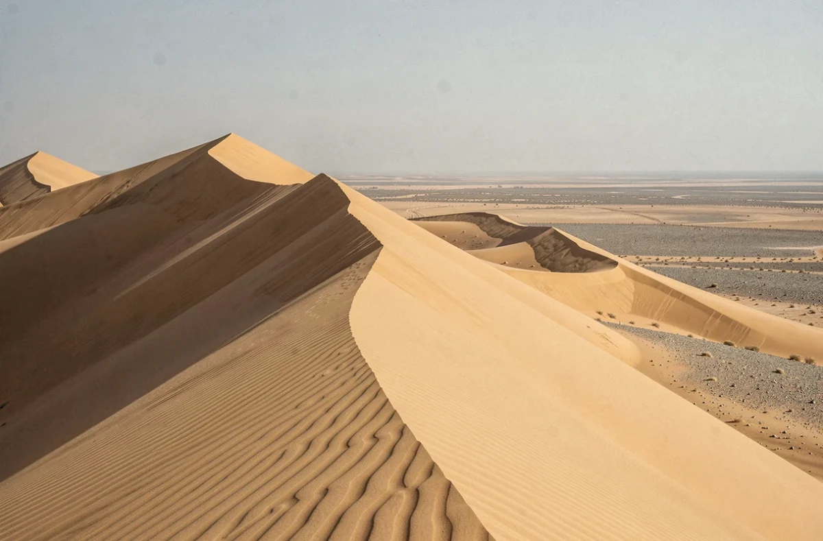 Dunes de sable aux crêtes aiguisées dans un désert du Sahara, avec des ondulations texturées au premier plan illustrant les risques naturels liés aux vents et à l'érosion éolienne